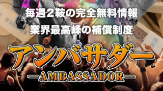 アンバサダー