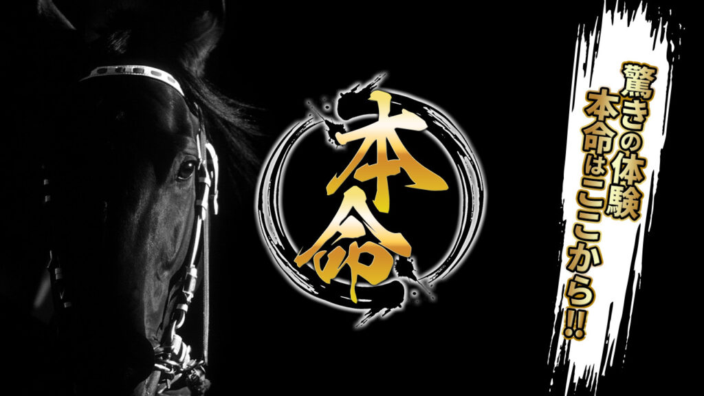 競馬予想サイト本命の情報