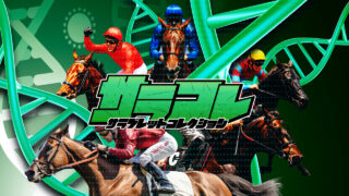 競馬予想サイトサラコレの口コミと評判は?無料情報は本物?悪質や当たらない噂を検証!