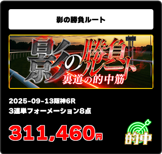 競馬予想サイトサラコレ「影の勝負ルート」の的中実績情報
