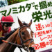 競馬予想サイトウマノミカタの情報